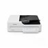 WorkForce DS-1760WN Escáner plano y alimentador automático de documentos (ADF, Automatic Document Feeder) 1200 x 1200 DPI A4 Neg