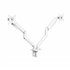 DB4132TNR-W soporte para monitor 81,3 cm (32") Abrazadera/Atornillado Blanco