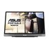 MB14AC pantalla para PC 35,6 cm (14") 1920 x 1080 Pixeles Full HD Gris