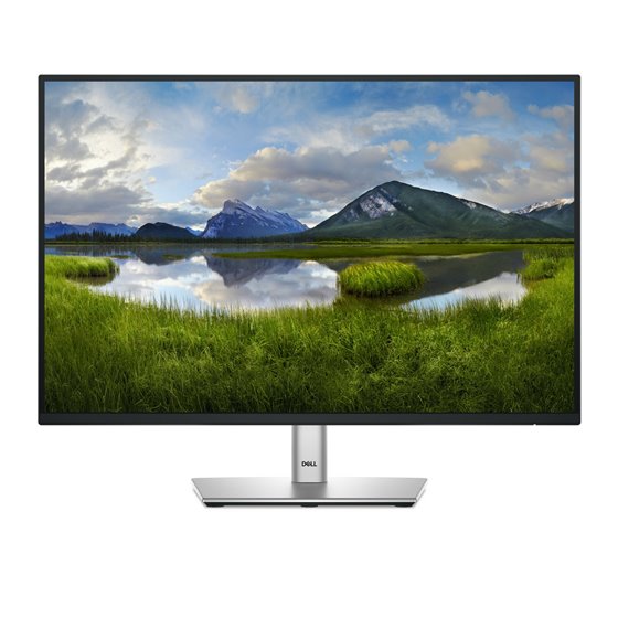 Pro Plus P2425 pantalla para PC 61,1 cm (24.1") 1920 x 1200 Pixeles WUXGA LCD Negro