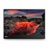 ThinkVision M14t Gen 2 Monitor