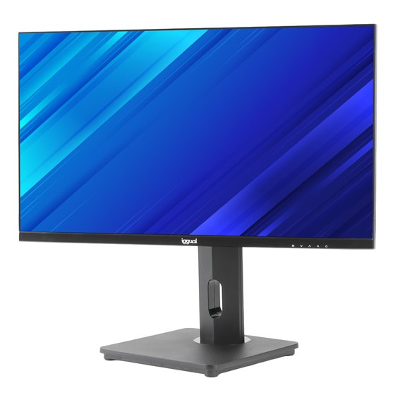 Monitor 24" VGA HDMI 120Hz pivotante AA MM