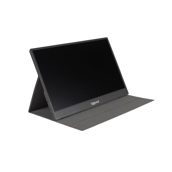 Monitor portátil 15,6" IPS FHD USB-C funda