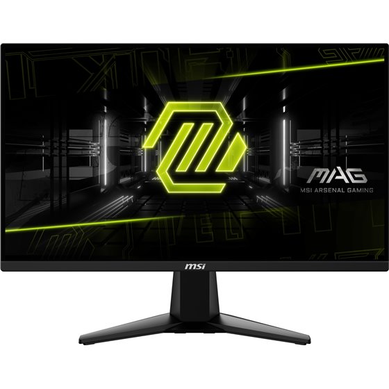 MAG 255F E20 pantalla para PC 62,2 cm (24.5") 1920 x 1080 Pixeles Full HD LCD Negro
