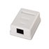 A139-0301 caja de conexiones de red Cat6 Blanco