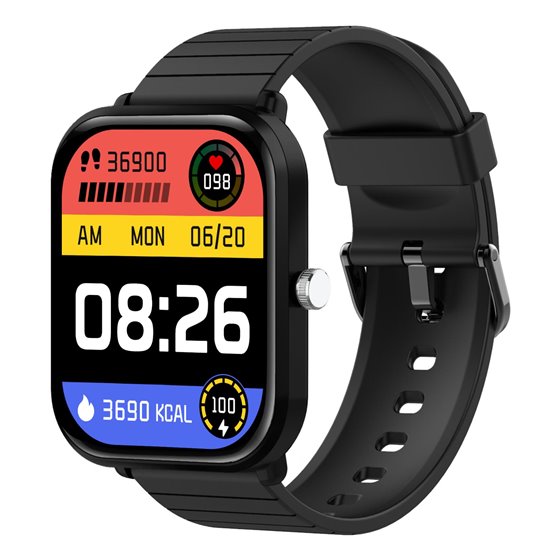 TRAINERMATE2BK Relojes inteligentes y deportivos 5,11 cm (2.01") Digital 240 x 296 Pixeles Pantalla táctil Negro
