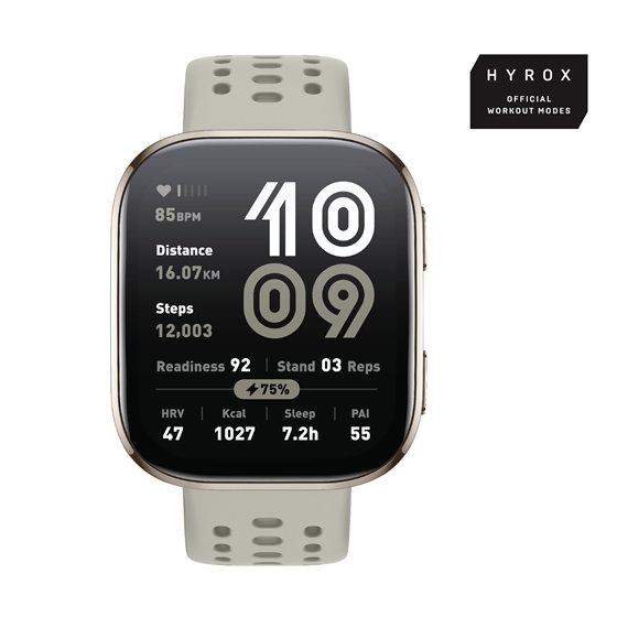 Bip 6 Stone 5 cm (1.97") AMOLED Digital 390 x 450 Pixeles Pantalla táctil Oro GPS (satélite)