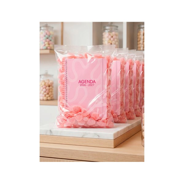Agenda escolar liderpapel 26-27 espiral classic 2 dias pagina a5 bilingue 70g papel fsc rosa