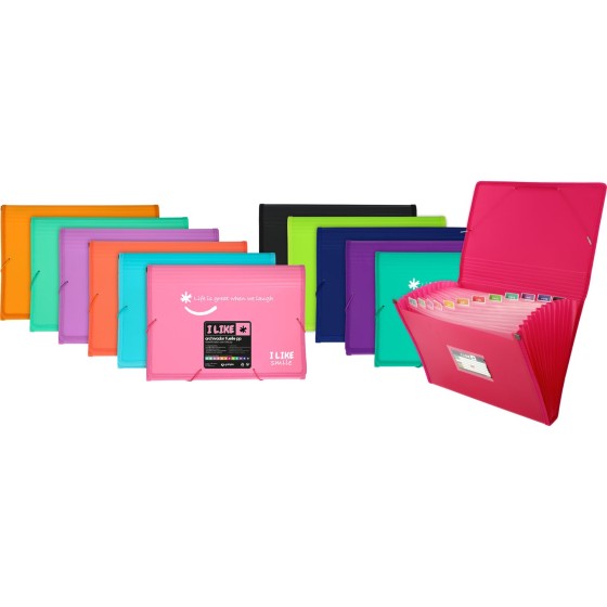 Clasificadores 13 Bolsas  PP Opaco Liso Gomas Folio Coral Like Grafoplás