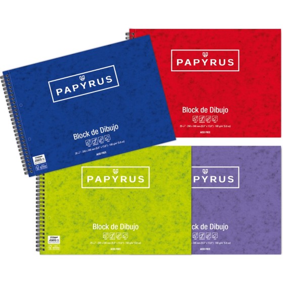 Blocs De Dibujo Folio Prolongado 20 Hojas 160 G Sin Recuadro Y Con Taladros Papyrus