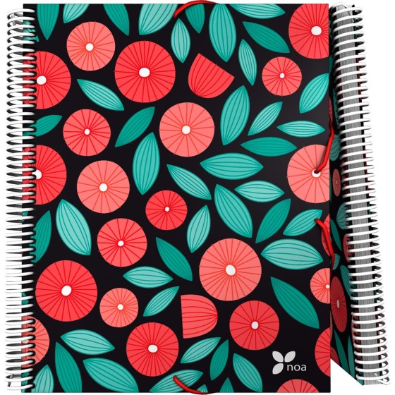 Carpeta Fundas PP Opaco Rígido A4 30 Fundas Con Sobre Noa  Globe Grafoplás