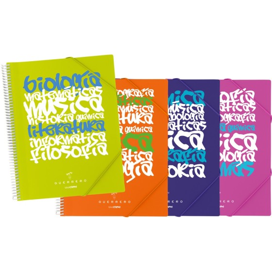 Carpeta 30 Fundas PP A4  MaxiplasPP Uniclase Surtido