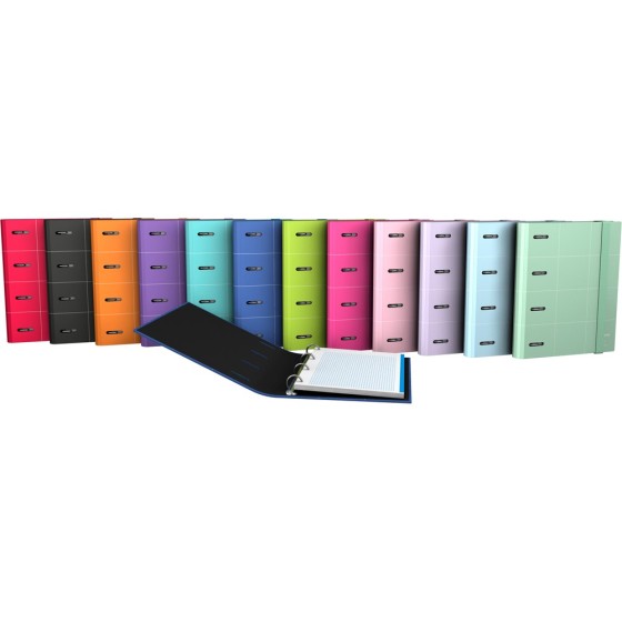 Carpeta De Anillas Con Recambio 4º 4 Anillas 25 mm.  Papel Plastificado Brillo A5 4X25mm Colores Surtidos Fsc Unequal Grafoplás