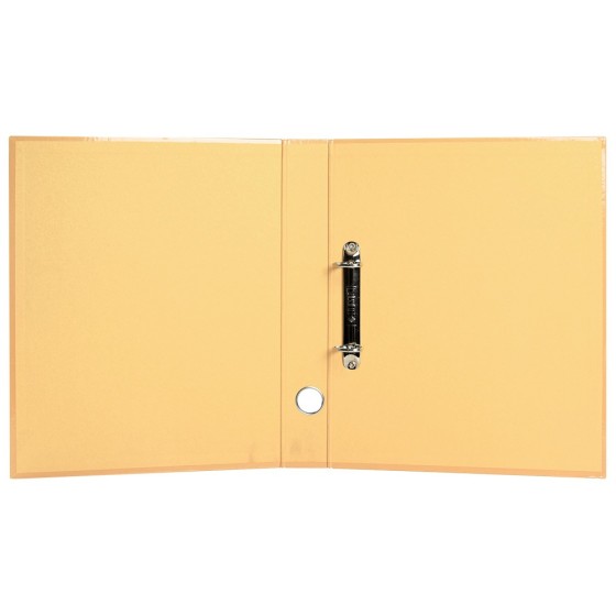 Carpeta de 2 anillas 25 mm mixtas liderpapel a4 forrado color system con ollao y tarjetero melocoton