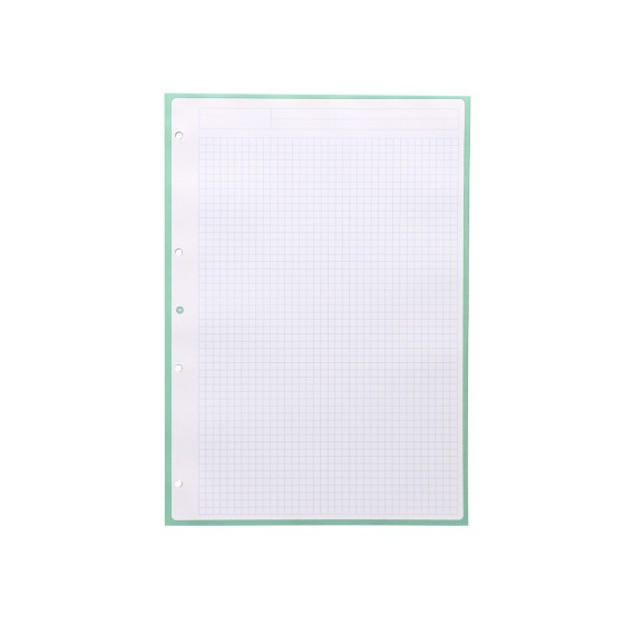 Recambio liderpapel a4 antartik 80 hojas 90g/m2 cuadro 5 mm 4 taladros 1 banda marco color menta