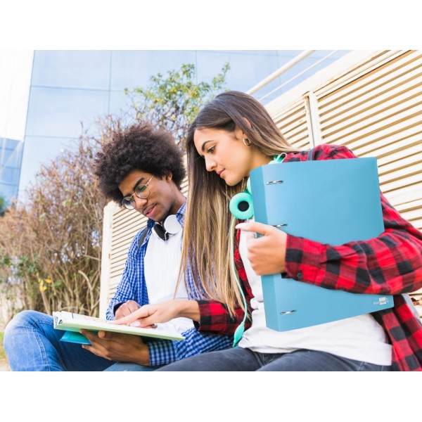 Carpeta liderpapel 4 anillas mixtas 40 mm polipropileno din a4 celeste opaco