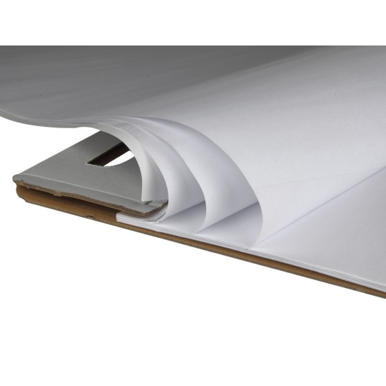 Bloc congreso liderpapel liso 63x84 cm 50 hojas 80g/m2