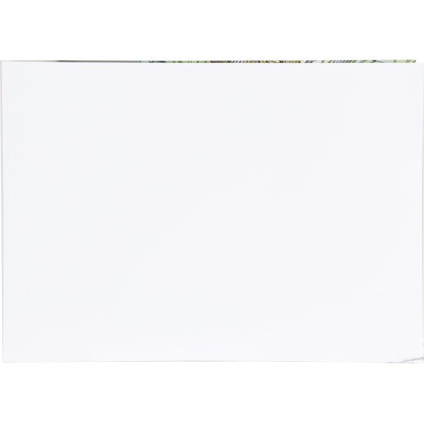 Bloc dibujo liderpapel lineal espiral 460x325mm 20 hojas 180 g/m2 con recuadroperforado