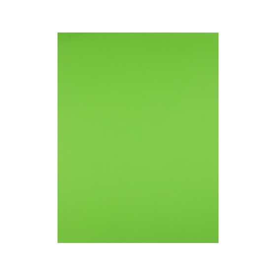 Cartulina liderpapel 50x65 cm 180g/m2 verde pistacho paquetede 25