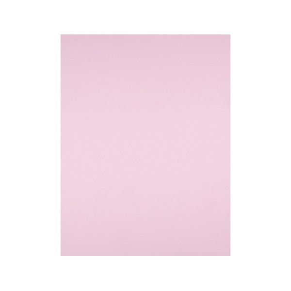 Cartulina liderpapel 50x65 cm 180g/m2 rosa paquete de 25