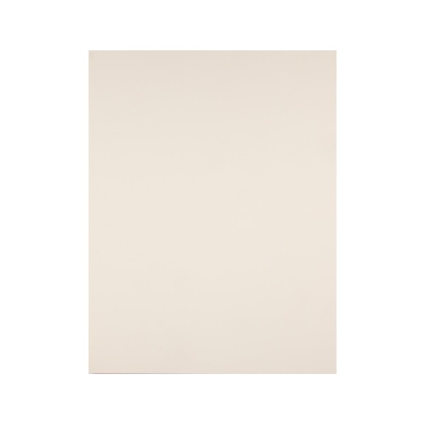 Cartulina liderpapel 50x65 cm 180g/m2 crema paquete de 25