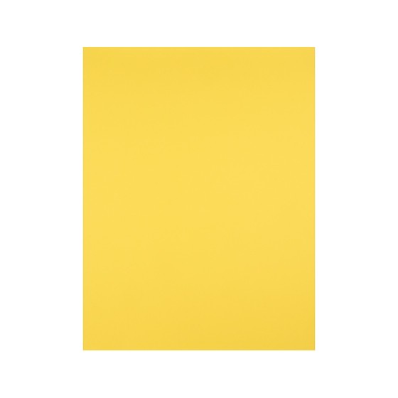 Cartulina liderpapel 50x65 cm 180g/m2 amarillo limon paquete de 25