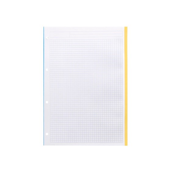 Recambio liderpapel a4 100 hojas 100g/m2 cuadro 5 mm 4 taladros bandas de 5 colores antartik