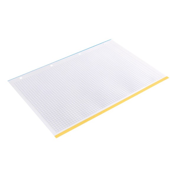 Recambio liderpapel a4 100 hojas 100g/m2 cuadro 5 mm 4 taladros bandas de 5 colores antartik