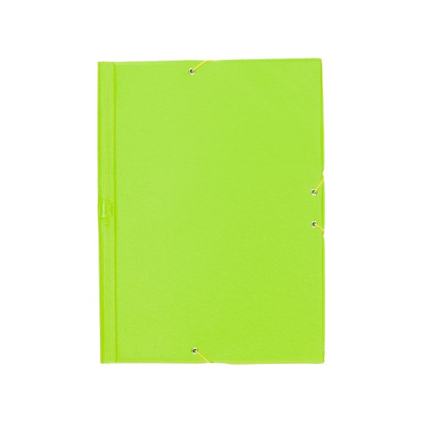 Carpeta liderpapel gomas plastico folio solapas color verde pistacho