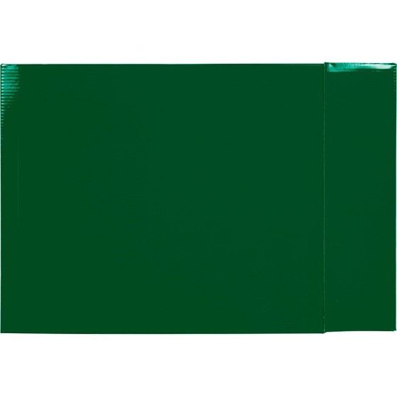 Caja archivador liderpapel de palanca carton folio documenta lomo 75mm color verde