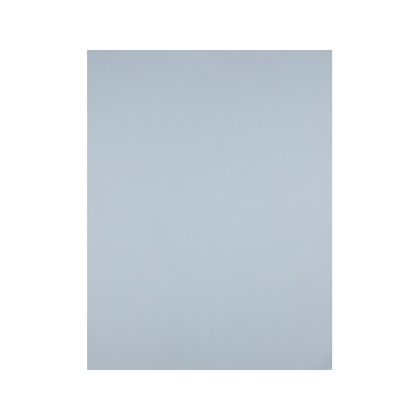 Cartulina liderpapel 50x65 cm 180 gr gris paquete de 25