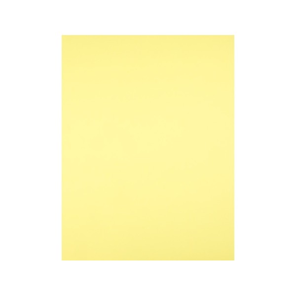 Cartulina liderpapel 50x65 cm 180 gr amarillo medio paquete de 25