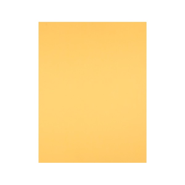 Cartulina liderpapel 50x65 cm 180 gr oro paquete de 25