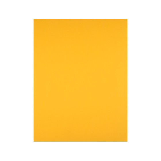 Cartulina liderpapel 50x65 cm 180 gr oro viejo paquete de 25