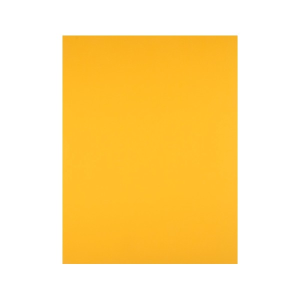 Cartulina liderpapel 50x65 cm 180 gr oro viejo paquete de 25
