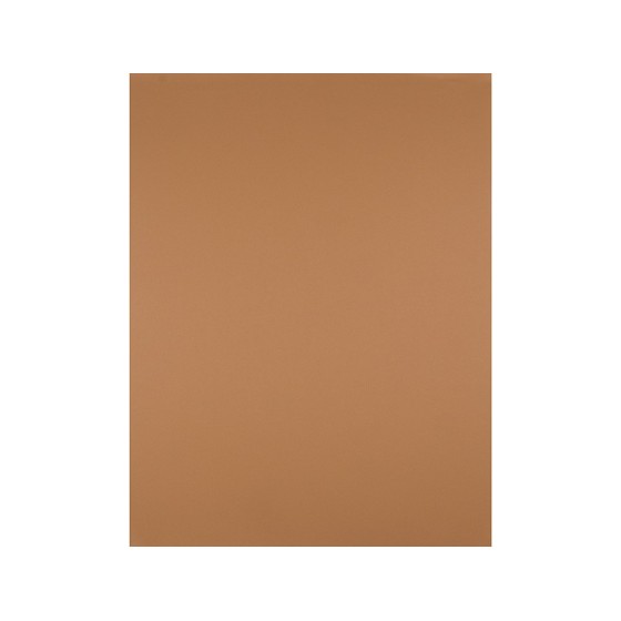 Cartulina liderpapel 50x65 cm 180 gr marron escolar paquete de 25