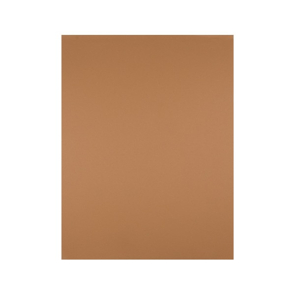 Cartulina liderpapel 50x65 cm 180 gr marron escolar paquete de 25