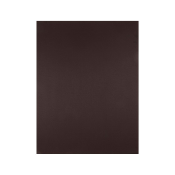 Cartulina liderpapel 50x65 cm 180 gr marron paquete de 25