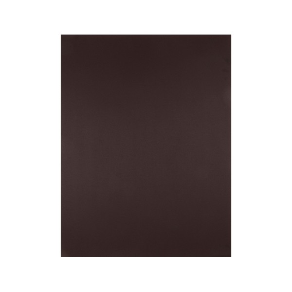 Cartulina liderpapel 50x65 cm 180 gr marron paquete de 25