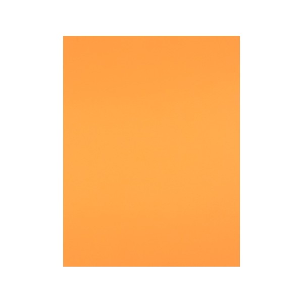 Cartulina liderpapel 50x65 cm 180 gr nectarina paquete de 25