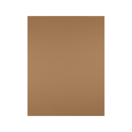 Cartulina liderpapel 50x65 cm 180 gr marron escolar unidad