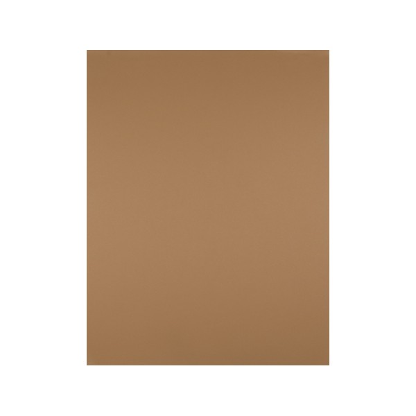 Cartulina liderpapel 50x65 cm 180 gr marron escolar unidad