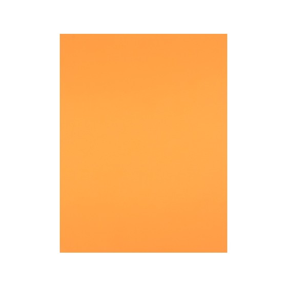 Cartulina liderpapel 50x65 cm 180 gr nectarina unidad