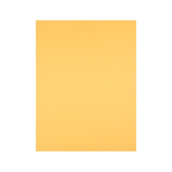 Cartulina liderpapel 50x65 cm 180 gr oro unidad