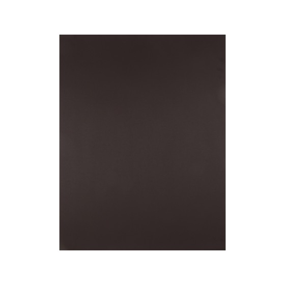 Cartulina liderpapel 50x65 cm 180 gr marron unidad