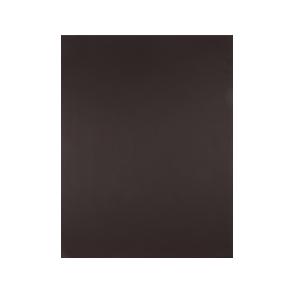 Cartulina liderpapel 50x65 cm 180 gr marron unidad