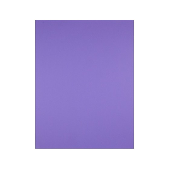 Cartulina liderpapel 50x65 cm 180 gr purpura unidad