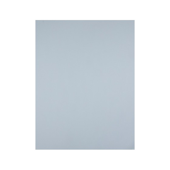 Cartulina liderpapel 50x65 cm 180 gr gris unidad