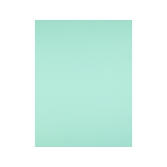 Cartulina liderpapel 50x65 cm 240g/m2 verde paquete de 25 unidades