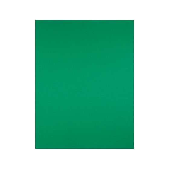 Cartulina liderpapel 50x65 cm 240g/m2 verde navidad paquete de 25 unidades